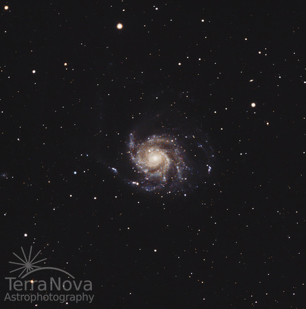 M101_06242023