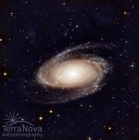 M81_01142025_1stRCEdited