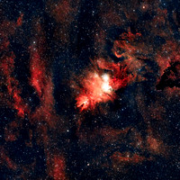 ChrsTree12212024
